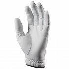 Ping Tour Golf Glove (Right Handed Golfer)