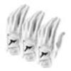 Mizuno Pro Golf Glove White (Right Handed Golfer) Multi Buy