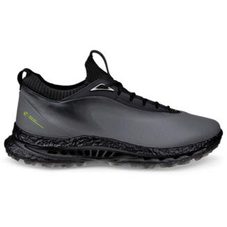 Ecco Biom C5 Gore-Tex Golf Shoes Steel/Steel 132604-50843