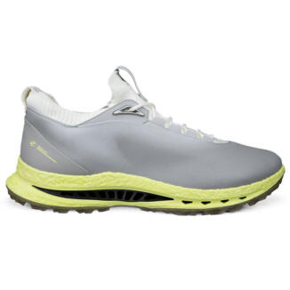 Ecco Biom C5 Gore-Tex Golf Shoes Wild Dove/Wild Dove 132604-55915