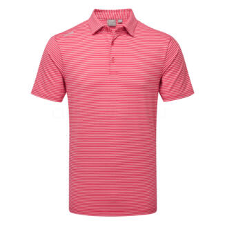 Ping Langford Golf Polo Shirt Rhapsody Pink/White P03790-RPW