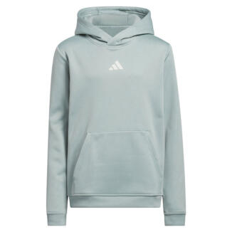 adidas Junior Climawarm Graphic Golf Hoodie Wonder Sage JY5826