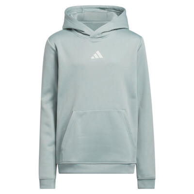 adidas Junior Climawarm Graphic Golf Hoodie Wonder Sage JY5826