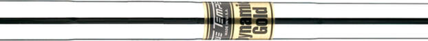 True Temper Dynamic Gold Shaft