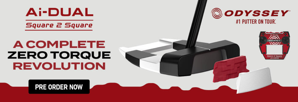 NEW Odyssey Ai-DUAL Putters