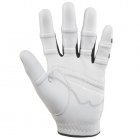 Bionic Stable Grip Golf Glove (Left Handed Golfer)