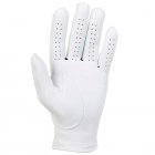 Titleist Players Golf Glove 6646E (Left Handed Golfer)