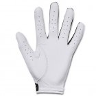 Under Armour Iso-Chill Golf Glove Black/White/White 1370277-001 (Right Handed Golfer)