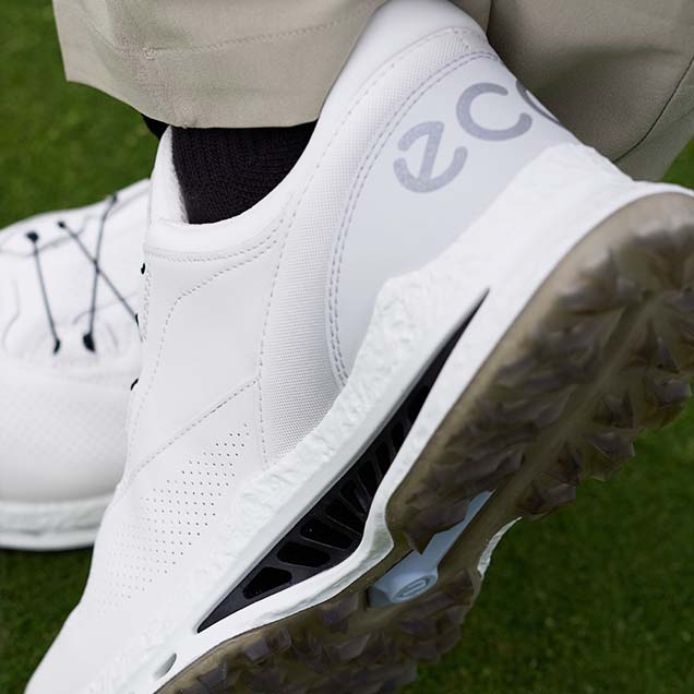 Step Into The New Season